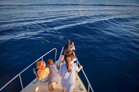 Shipwreck and Tiger Shark Diving in Addu City